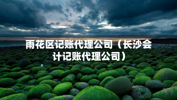 雨花区记账代理公司（长沙会计记账代理公司）