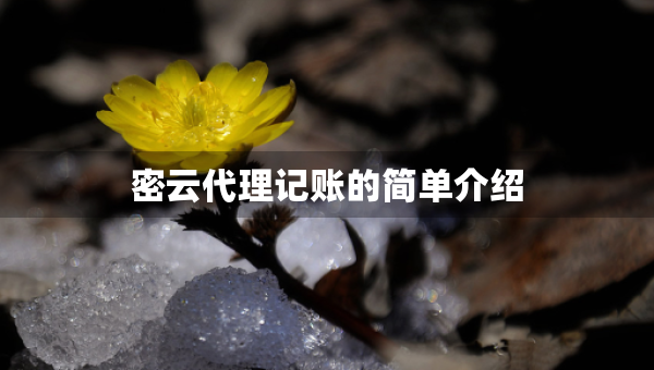 密云代理记账的简单介绍