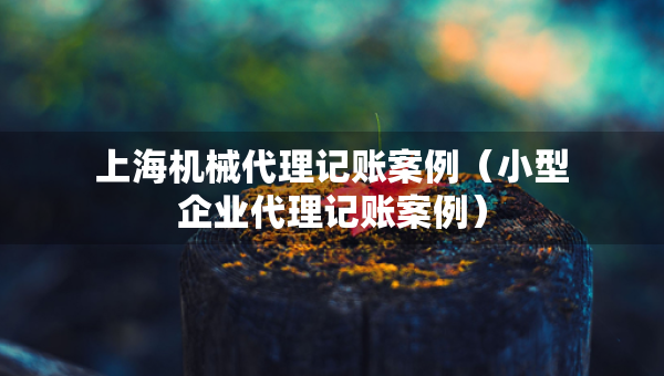 上海机械代理记账案例（小型企业代理记账案例）