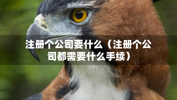 注册个公司要什么（注册个公司都需要什么手续）