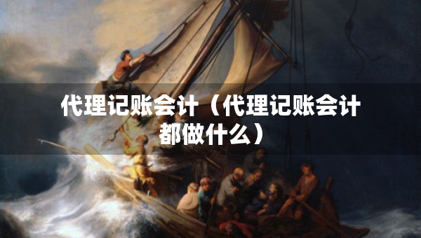 代理记账会计（代理记账会计都做什么）