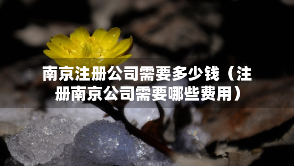 南京注册公司需要多少钱（注册南京公司需要哪些费用）