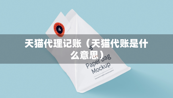 天猫代理记账（天猫代账是什么意思）