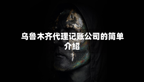 乌鲁木齐代理记账公司的简单介绍