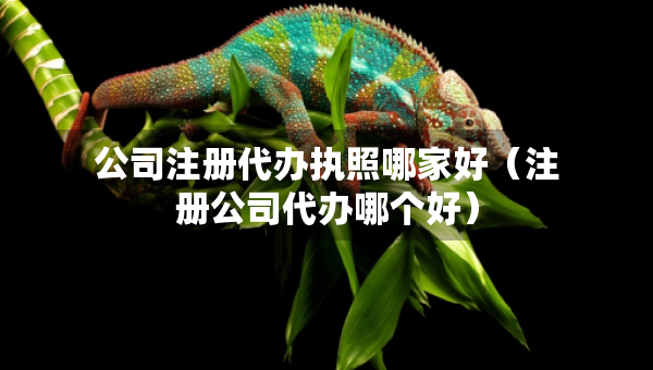 公司注册代办执照哪家好（注册公司代办哪个好）