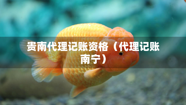 贵南代理记账资格（代理记账南宁）