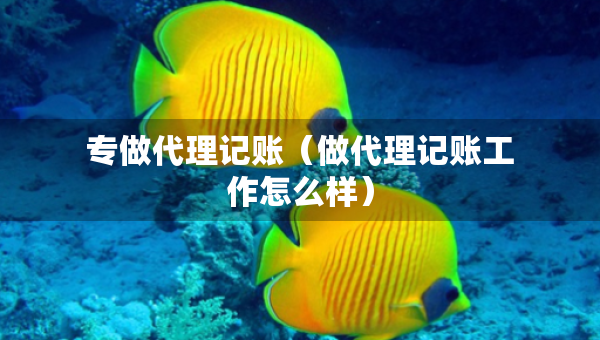专做代理记账（做代理记账工作怎么样）