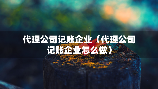 代理公司记账企业（代理公司记账企业怎么做）