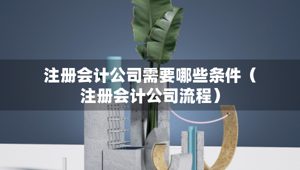 注册会计公司需要哪些条件（注册会计公司流程）
