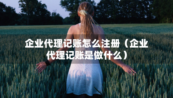 企业代理记账怎么注册（企业代理记账是做什么）