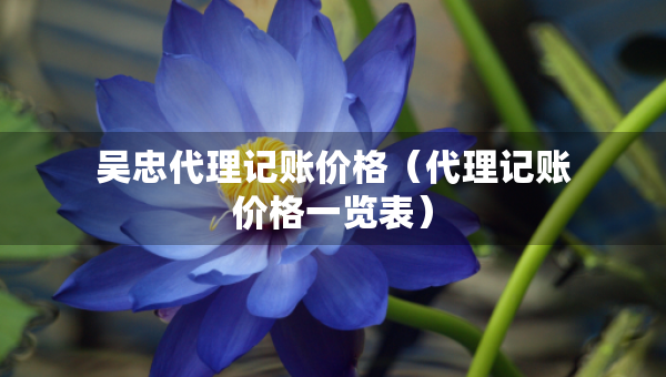 吴忠代理记账价格（代理记账价格一览表）