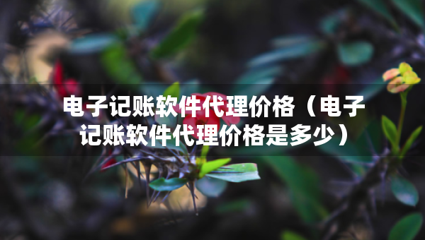 电子记账软件代理价格（电子记账软件代理价格是多少）