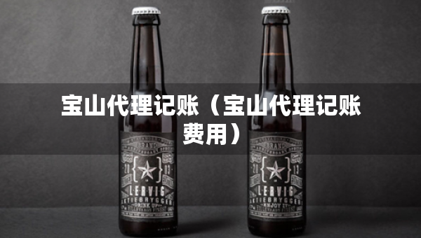 宝山代理记账（宝山代理记账费用）