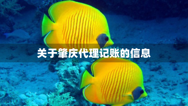 关于肇庆代理记账的信息