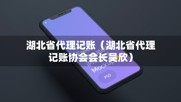 湖北省代理记账（湖北省代理记账协会会长吴欣）