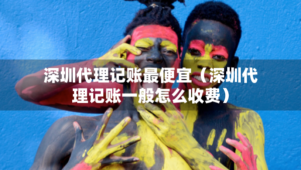 深圳代理记账最便宜（深圳代理记账一般怎么收费）