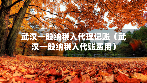 武汉一般纳税人代理记账（武汉一般纳税人代账费用）