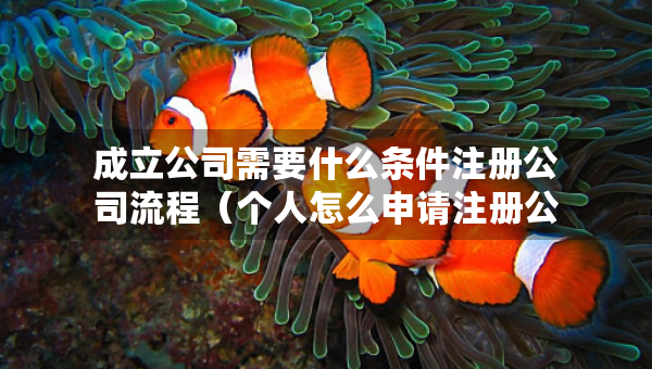 成立公司需要什么条件注册公司流程（个人怎么申请注册公司）