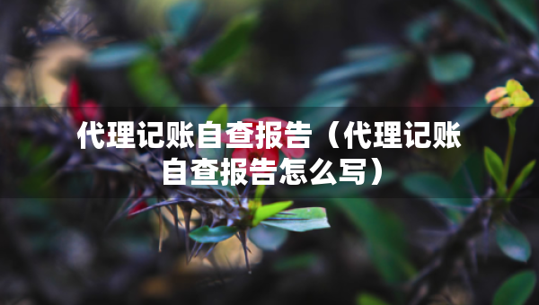 代理记账自查报告（代理记账自查报告怎么写）
