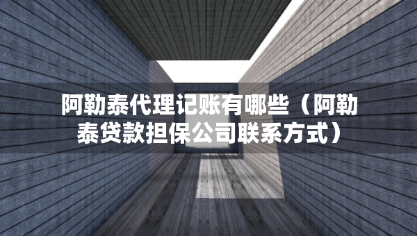 阿勒泰代理记账有哪些（阿勒泰贷款担保公司联系方式）