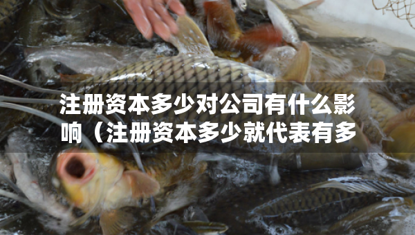 注册资本多少对公司有什么影响（注册资本多少就代表有多少钱）