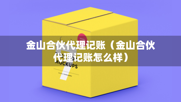 金山合伙代理记账（金山合伙代理记账怎么样）