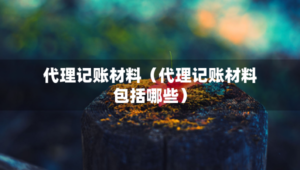 代理记账材料（代理记账材料包括哪些）