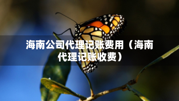 海南公司代理记账费用（海南代理记账收费）