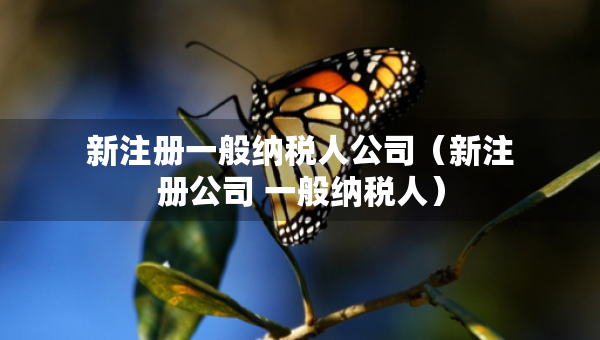 新注册一般纳税人公司（新注册公司 一般纳税人）