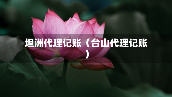 坦洲代理记账（台山代理记账）
