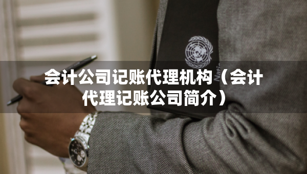 会计公司记账代理机构（会计代理记账公司简介）