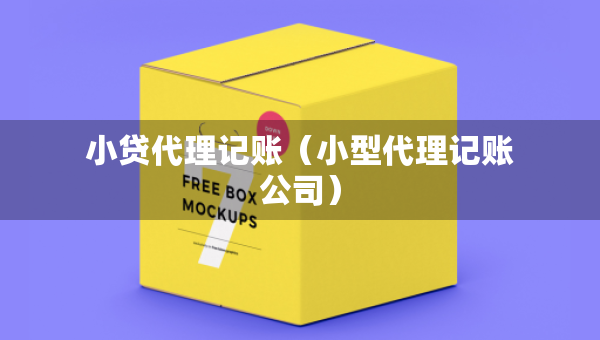 小贷代理记账（小型代理记账公司）