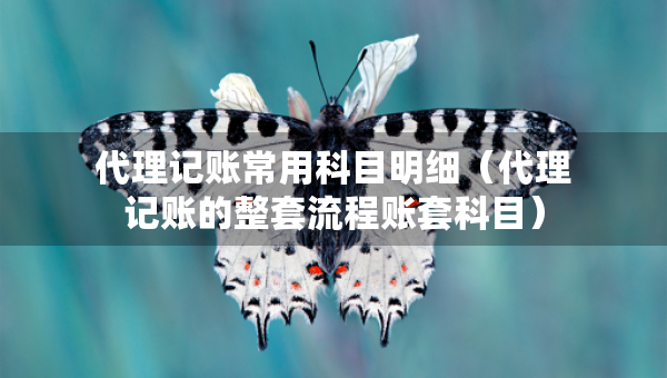 代理记账常用科目明细（代理记账的整套流程账套科目）
