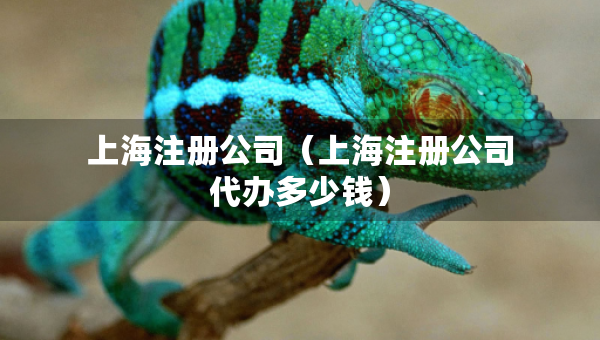 上海注册公司（上海注册公司代办多少钱）