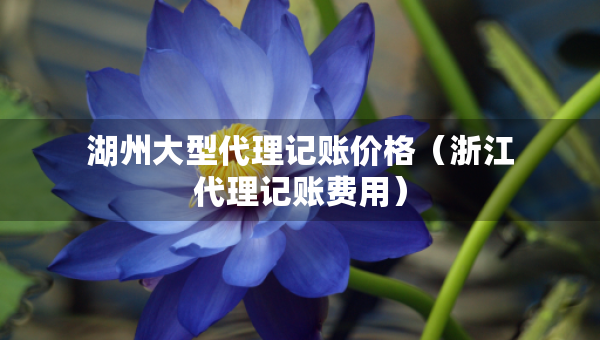 湖州大型代理记账价格（浙江代理记账费用）
