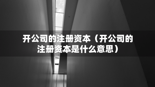 开公司的注册资本（开公司的注册资本是什么意思）