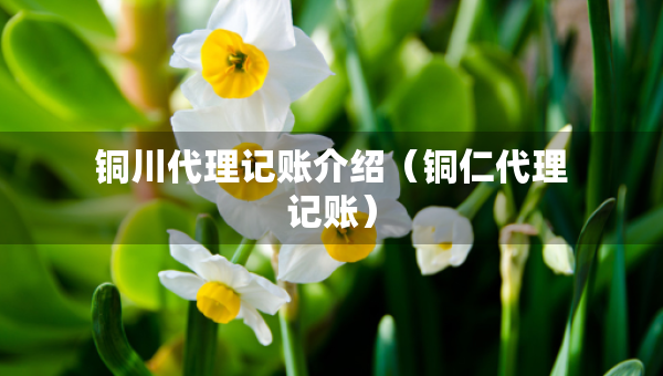 铜川代理记账介绍(铜仁代理记账) 铜川代理记账介绍(铜仁代理记账)