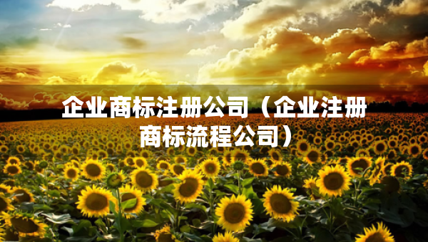 企业商标注册公司（企业注册商标流程公司）