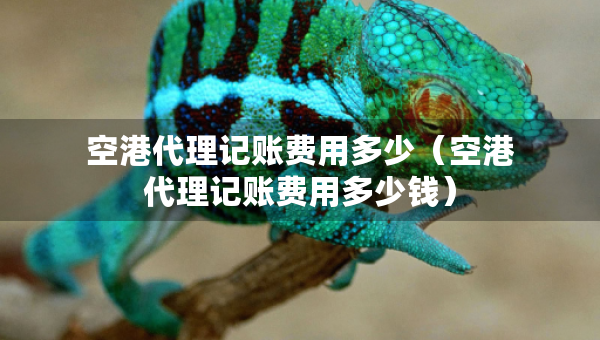 空港代理记账费用多少(空港代理记账费用多少钱) 空港代理记账费用多少(空港代理记账费用多少钱)