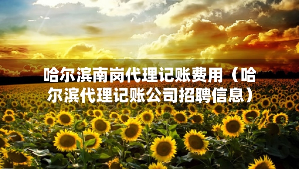 哈尔滨南岗代理记账费用（哈尔滨代理记账公司招聘信息）