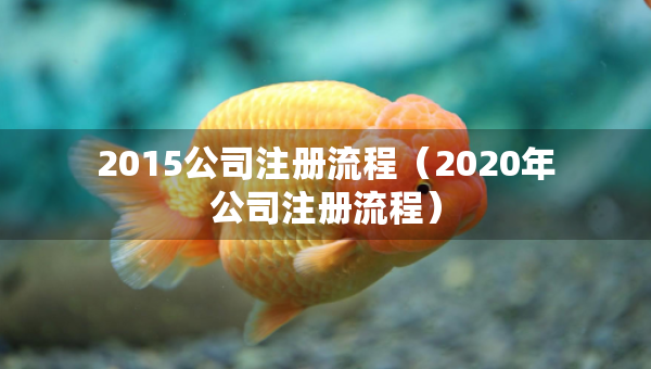 2015公司注册流程（2020年公司注册流程）