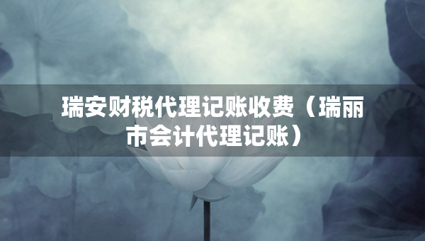 瑞安财税代理记账收费（瑞丽市会计代理记账）