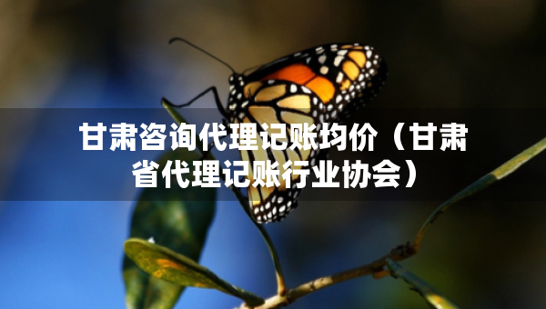 甘肃咨询代理记账均价（甘肃省代理记账行业协会）
