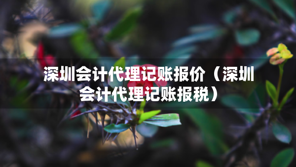 深圳会计代理记账报价（深圳会计代理记账报税）