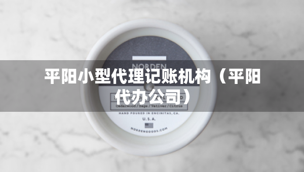 平阳小型代理记账机构（平阳代办公司）