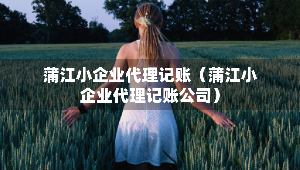 蒲江小企业代理记账（蒲江小企业代理记账公司）