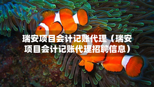 瑞安项目会计记账代理（瑞安项目会计记账代理招聘信息）