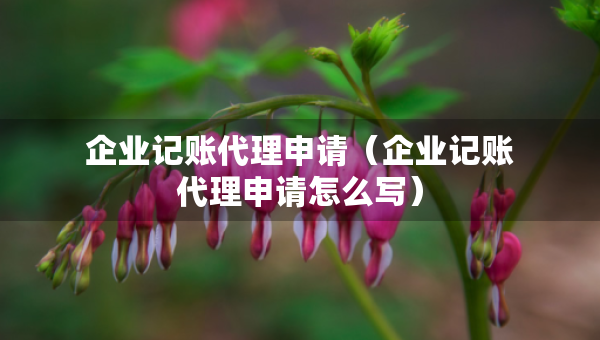 企业记账代理申请（企业记账代理申请怎么写）