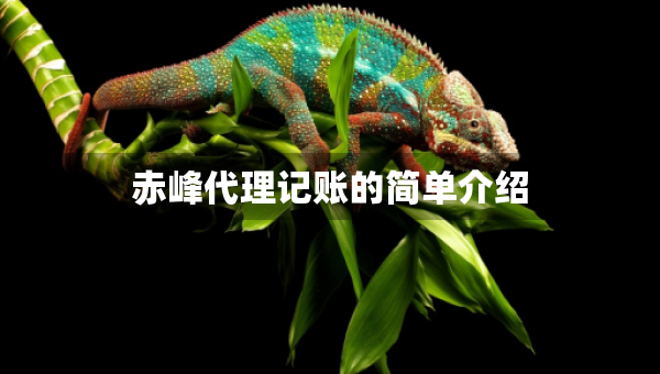 赤峰代理记账的简单介绍