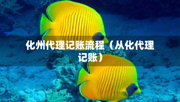 化州代理记账流程（从化代理记账）